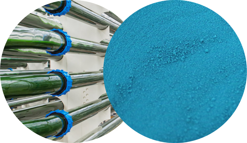 Duurzame algae-gebaseerde voedingsproducten met omega-3 capsules en algenpoeder